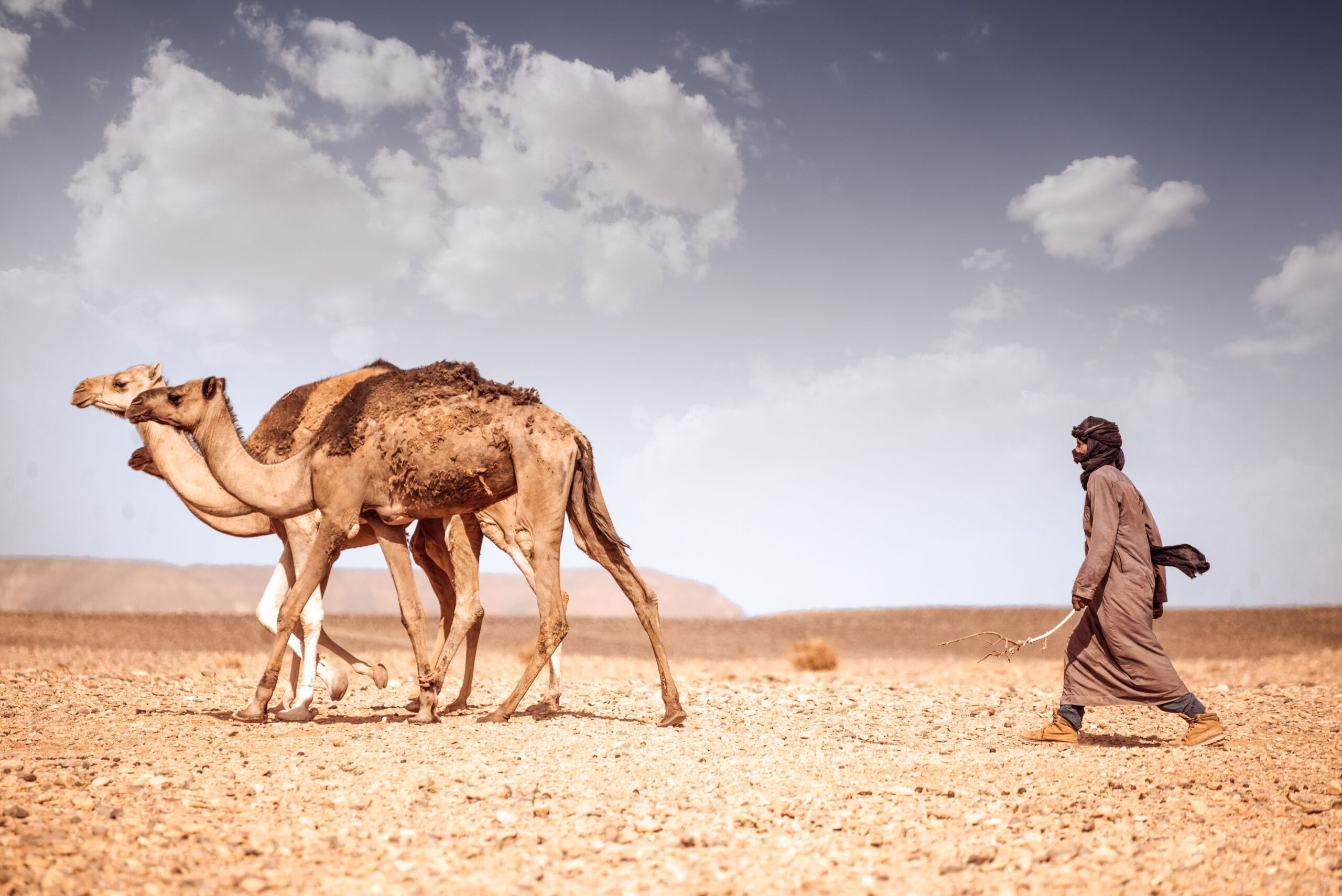 Marrakech Desert Tour 2 Days